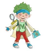 Einsteiger-Webinar: Die Fibel Miko 1 inkl. Miko-Kosmos – Tipps für die Vorbereitung und den Unterricht